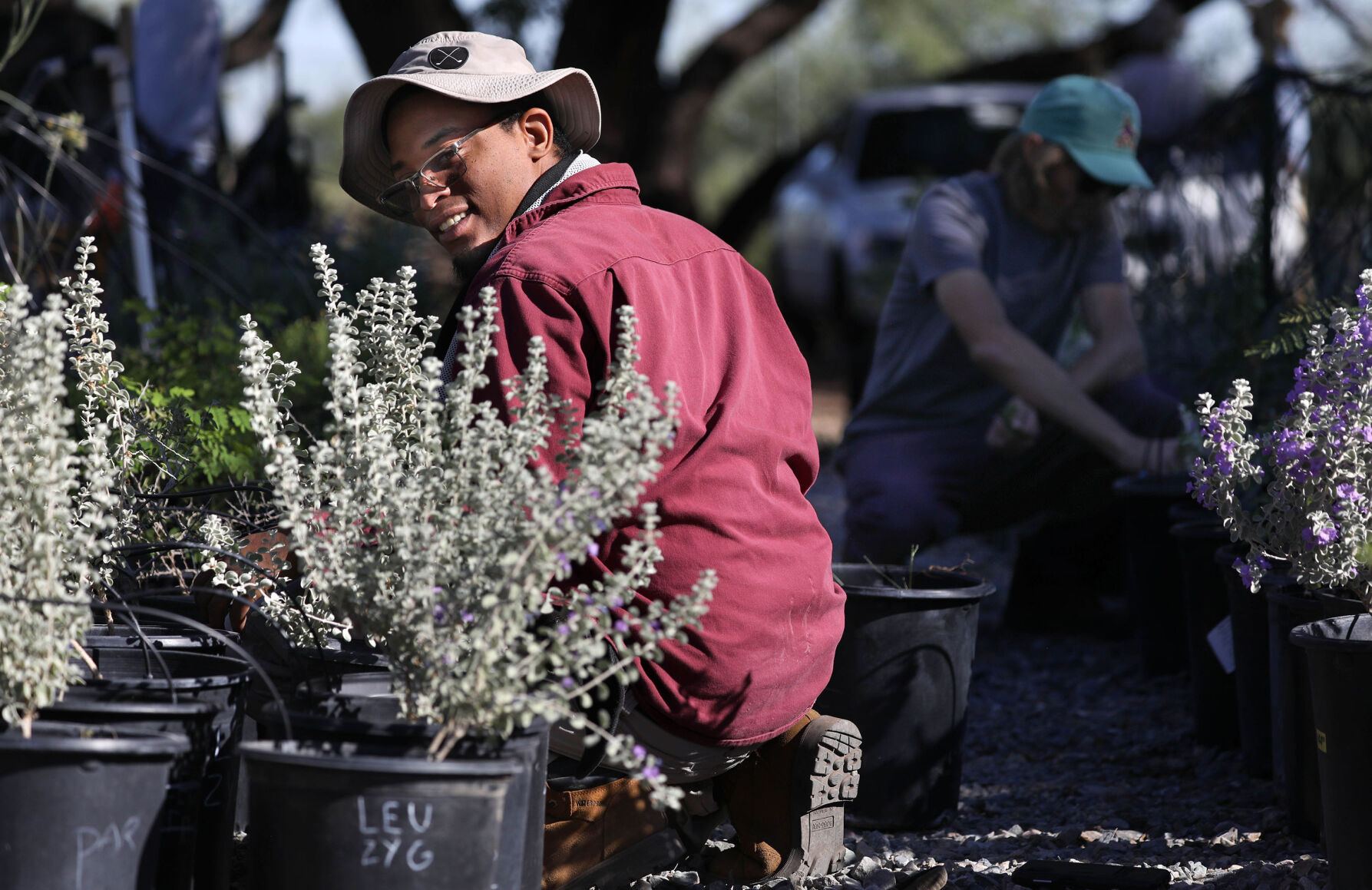 Desert Survivors Plant Nursery (copy)